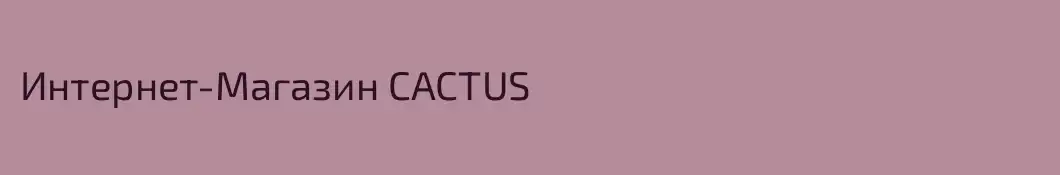 Интернет-Магазин CACTUS
